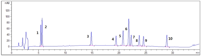 Fig. 1.