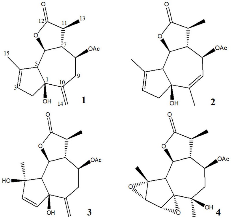 Fig. 1. 