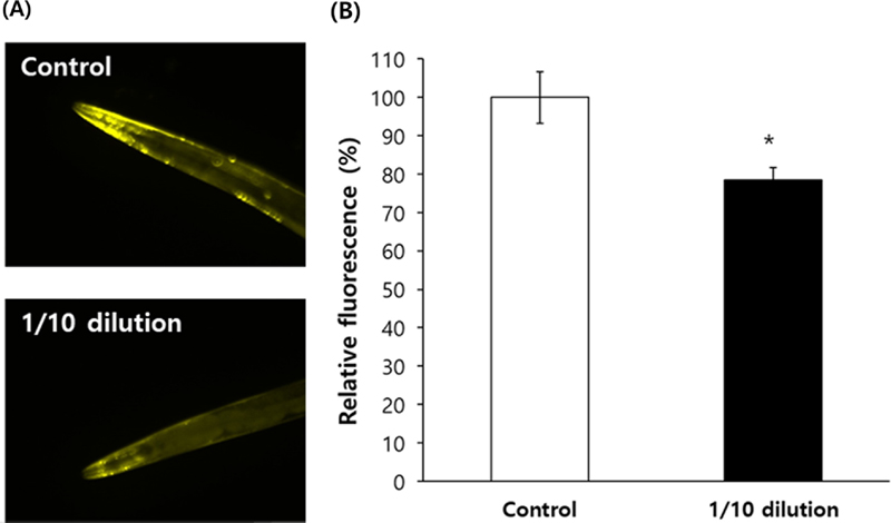 Fig. 6.