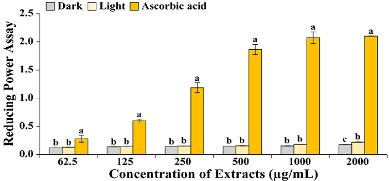 Fig. 3. Fig. 3.
