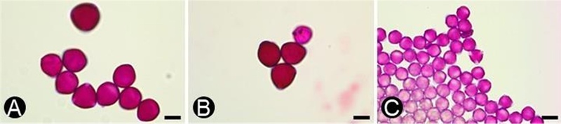 Fig. 5.